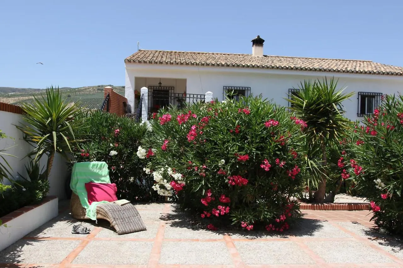 Gorgeous Villa Sleeps 11 Private Pool And Garden Granada